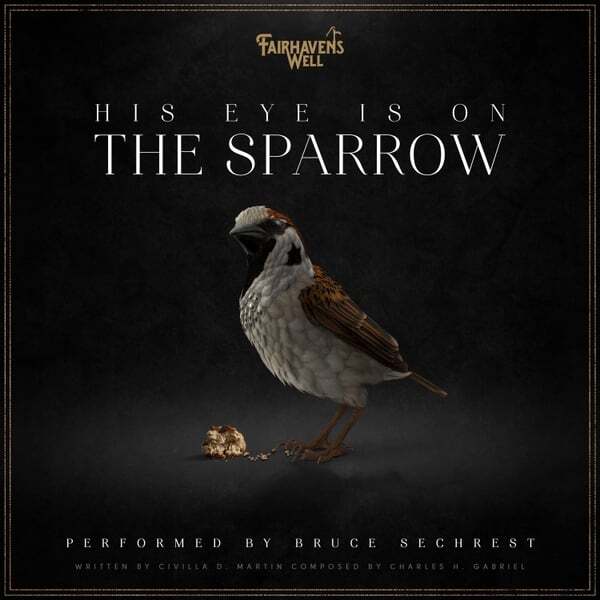 Cover art for His Eye Is on the Sparrow